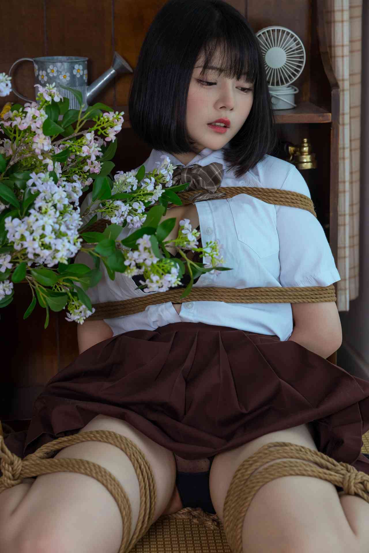 七月喵子潮汐